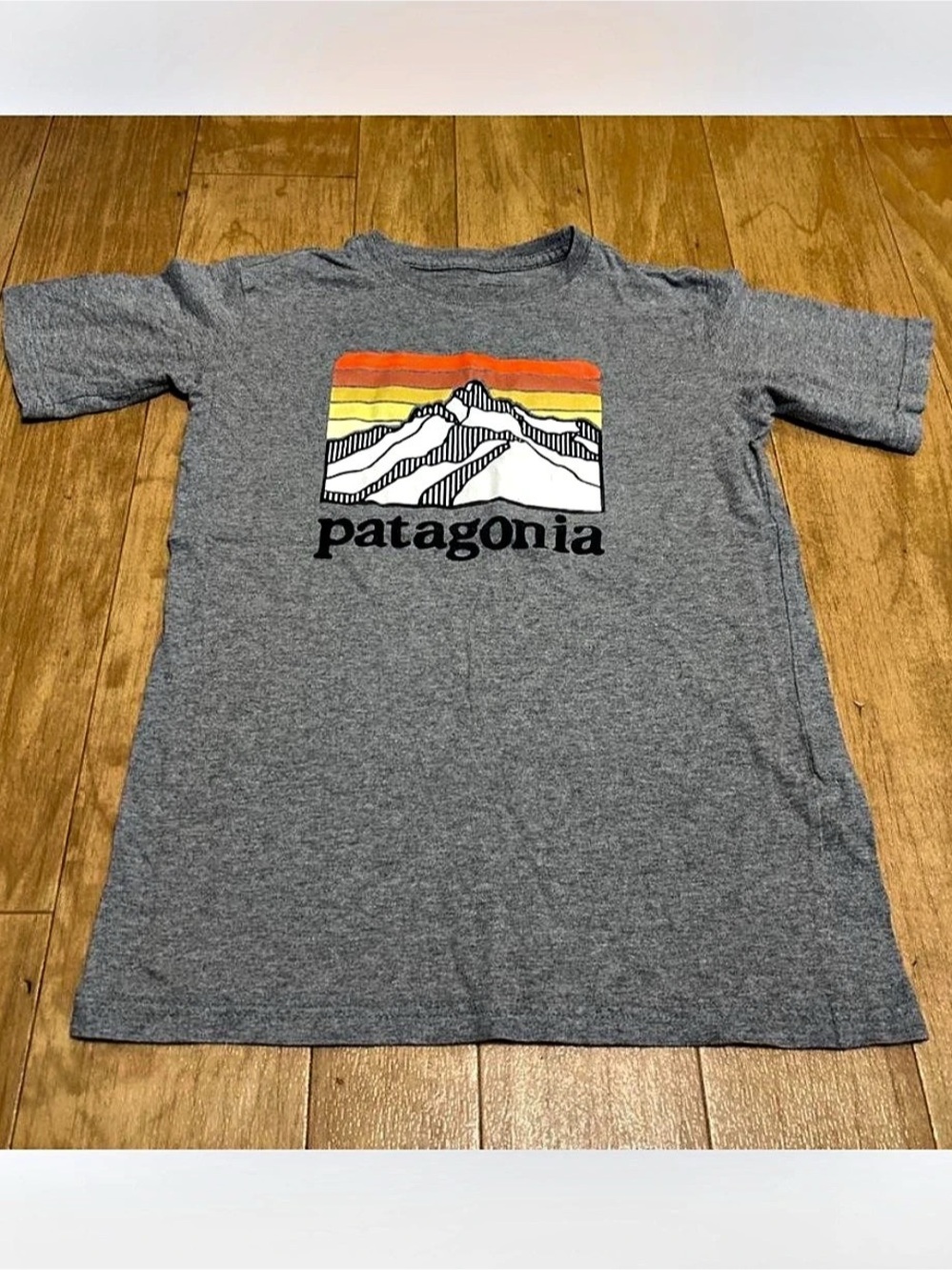 Patagonia Fitz Roy Horizons Organic T-Shirt Gray Medium